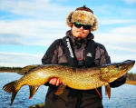Holmström Bait Pajala Jerk Holmström Bait Pajala Jerk